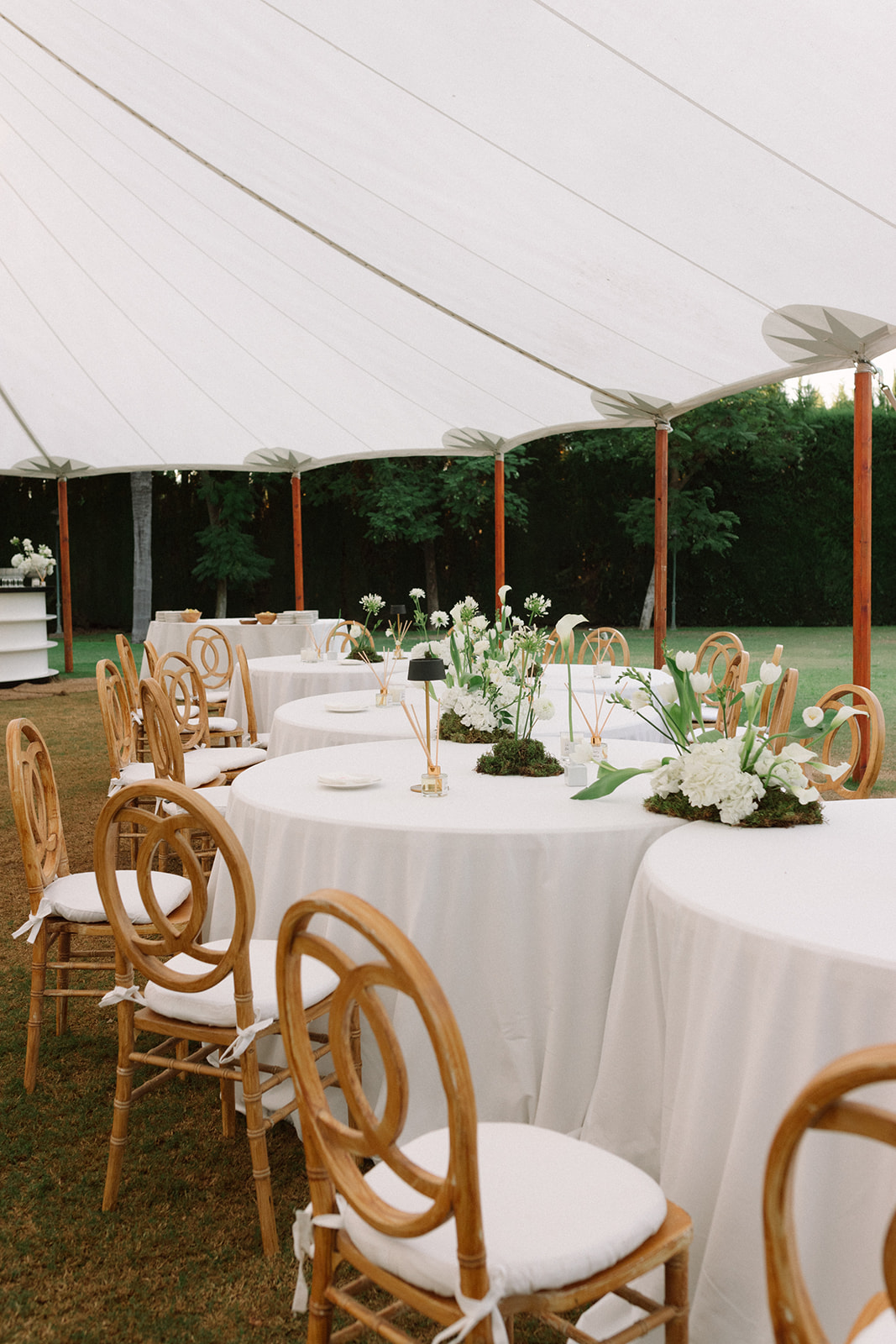 empresa para organizar cumpleaños en Sevilla Marbella